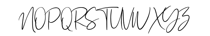 Holistic Signature Font UPPERCASE
