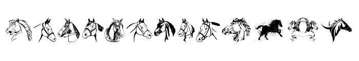 Horse Font LOWERCASE