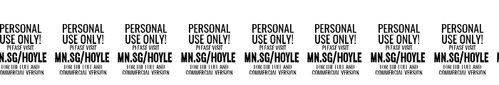 Hoyle PERSONAL USE ONLY Black Italic Font OTHER CHARS