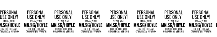 Hoyle PERSONAL USE ONLY Medium Italic Font OTHER CHARS