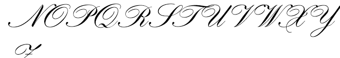 Hogarth Script Standard D Font UPPERCASE