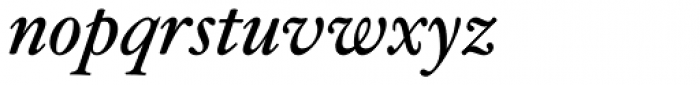 Hoefler Text Italic Font LOWERCASE