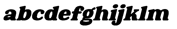 Holistic Retro Oblique FONT