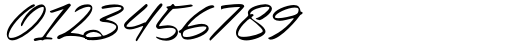 Holland Signature Script Font OTHER CHARS