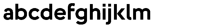 Hons Bold FONT