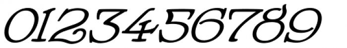 Howlett Italic Font OTHER CHARS