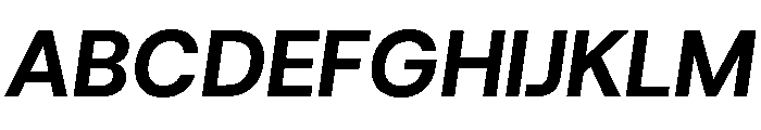 HostGrotesk BlackItalic Font UPPERCASE