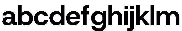 HostGrotesk Bold 2def6aa9 FONT