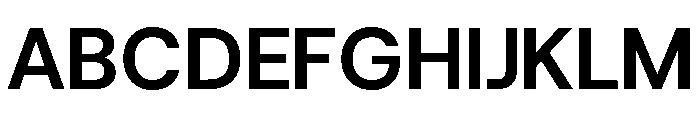 HostGrotesk Bold 37e7fde8 Font UPPERCASE