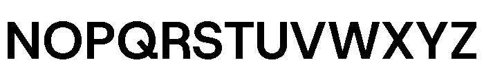 HostGrotesk Bold 37e7fde8 Font UPPERCASE