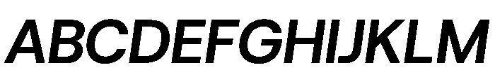 HostGrotesk BoldItalic Font UPPERCASE