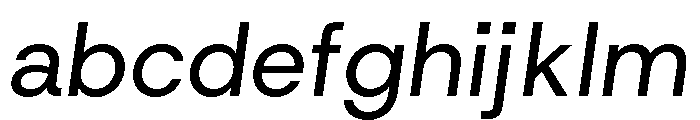 HostGrotesk Italic Da824f78 FONT