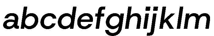 HostGrotesk MediumItalic 4d5d42bb FONT