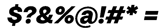 HotSansVF BlackItalic Instance Font OTHER CHARS