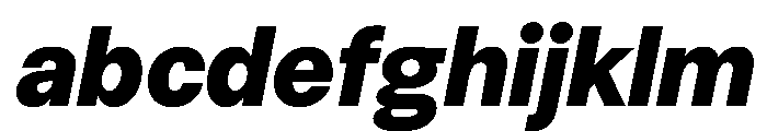 HotSansVF BlackItalic Instance FONT