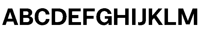 HotSansVF Bold Instance Font UPPERCASE