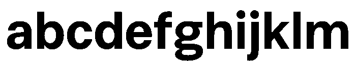 HotSansVF Bold Instance FONT