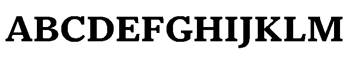 Houston Text Bold Font UPPERCASE