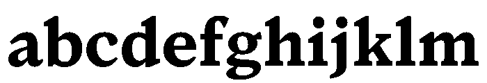 Houston Text Bold FONT
