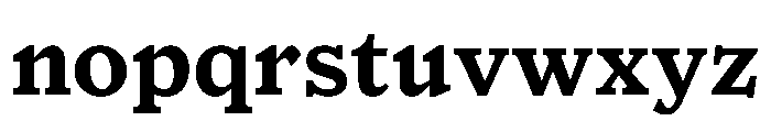 Houston Text Bold Font LOWERCASE