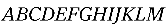 Houston Text Italic Font UPPERCASE