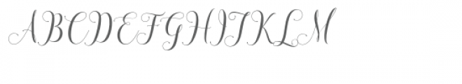 Honilad Script Font UPPERCASE