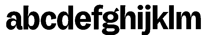 Honesta Bold FONT