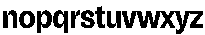 Honesta Bold Font LOWERCASE