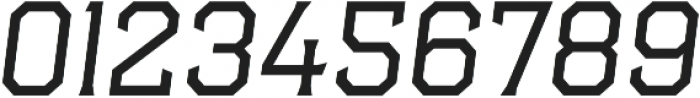 Hudson NY Pro Serif Ext Lt Itl ttf (400) Font OTHER CHARS