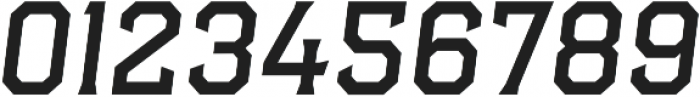 Hudson NY Pro Serif Light Itl ttf (300) Font OTHER CHARS