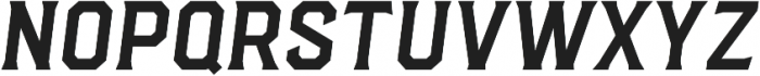 Hudson NY Pro Serif Regular Itl ttf (400) Font UPPERCASE