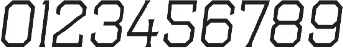 Hudson NY Pro Serif Thin Itl ttf (100) Font OTHER CHARS
