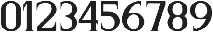 Husterdun Serif Regular otf (400) Font OTHER CHARS