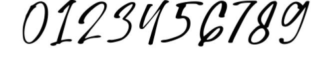 Hudson - Signature font Font OTHER CHARS