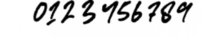 Hurstville - Brush Signature Font Font OTHER CHARS
