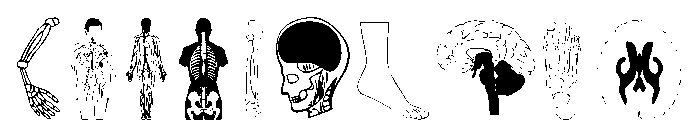 Human Body Parts Font OTHER CHARS