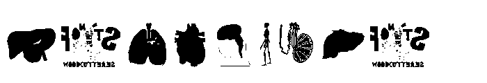 Human Body Parts Font OTHER CHARS
