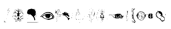 Human Body Parts Font UPPERCASE