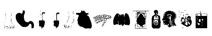 Human Body Parts Font UPPERCASE