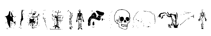 Human Body Parts FONT