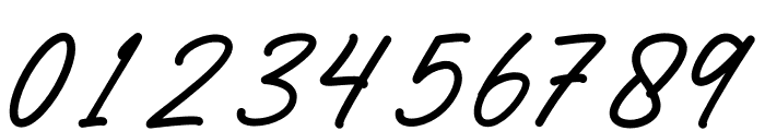 Huntley Signature Font OTHER CHARS