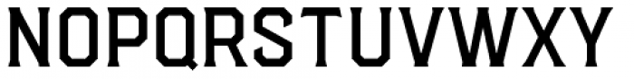 Hudson NY Pro Serif Light Font UPPERCASE