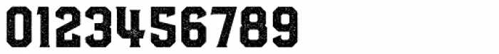 Hudson NY Serif Press Font OTHER CHARS