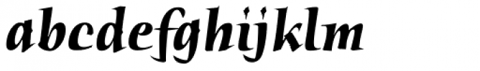 Humana Std Bold Italic Font LOWERCASE