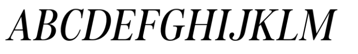 HV Fitzgerald in Berlin Bold Italic Font UPPERCASE