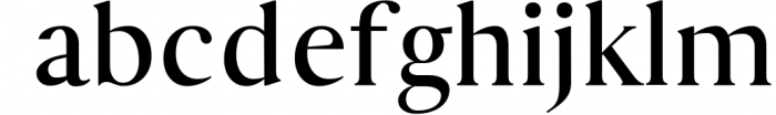 Hyogo A Modern Serif Font Family 1 Font LOWERCASE
