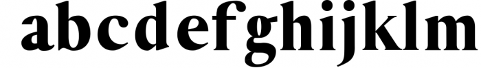 Hyogo A Modern Serif Font Family Font LOWERCASE