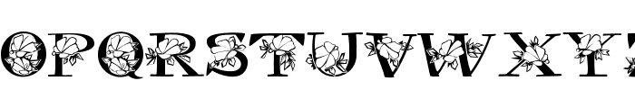 Hybrid Hibiscus Font UPPERCASE