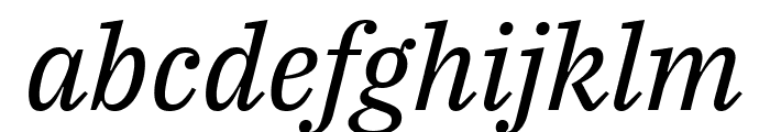 IBM Plex Serif Italic Font LOWERCASE