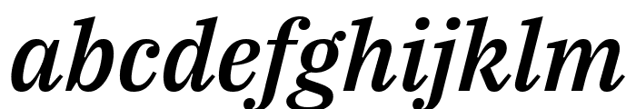 IBM Plex Serif Medium Italic Font LOWERCASE